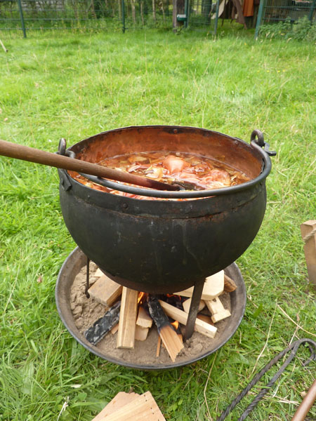 Cees Heijdel - fotoboek-archief/31_sibbe muninn 2013.JPG